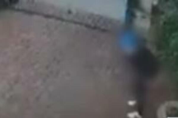 KAKVA GADOST! Žena upala u tuđe dvorište i uradila NAJSRAMNIJU stvar, a onda je usledio potez GAZDE (VIDEO)