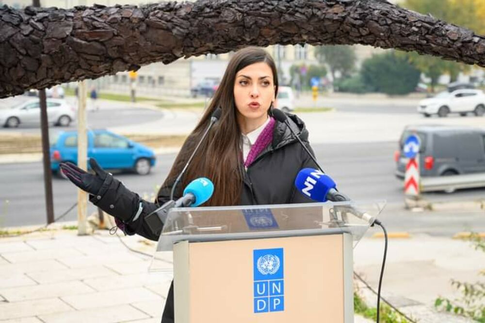 Dinosaurus, Umetnost, Skulptura, Sarajevo