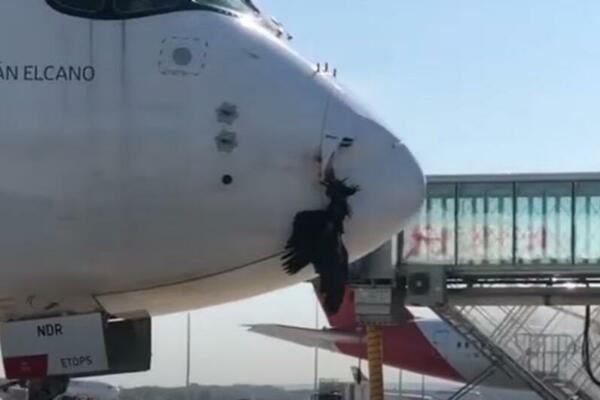 STRAŠAN INCIDENT PRI SLETANJU NA MADRIDSKI AERODROM: Avion udario u PTICU, desetine života bilo u OPASNOSTI (VIDEO)