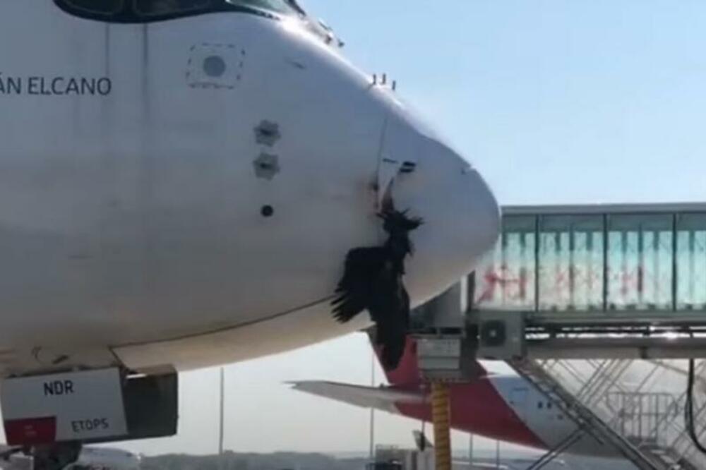 STRAŠAN INCIDENT PRI SLETANJU NA MADRIDSKI AERODROM: Avion udario u PTICU, desetine života bilo u OPASNOSTI (VIDEO)