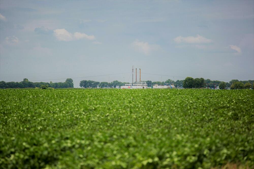 I JEDNA SIJALICA PRAVI RAZLIKU! Zamenite običnu, led osvetljenjem i uštedećete!