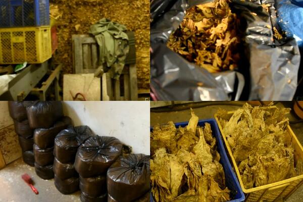 BEOGRADSKA POLICIJA UPALA U MAGACIN U BATAJNICI: Pronašli veliku količinu nafte i duvana, ALI TO NIJE SVE (VIDEO)