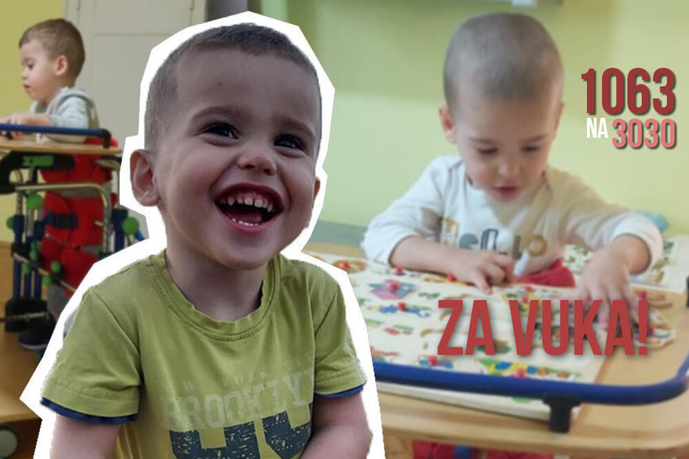 VUK (2) POSTAJE SVESNIJI SVOG STANJA, ŽELI DA HODA KAO BRAT BLIZANAC! Operacija košta 150.000 evra, skupljeno je 4%