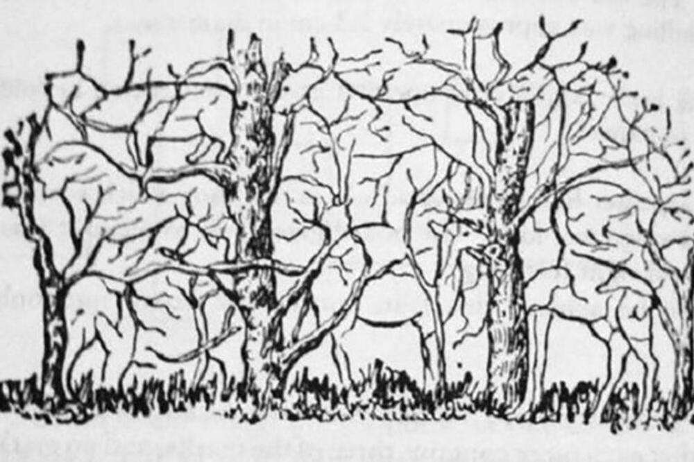 NA OVAJ TEST LIČNOSTI SVI SE SPOTIČU: Dobro se fokusirajte i odgovorite na PITANJE, TO NI SAMI NISTE ZNALI (FOTO)