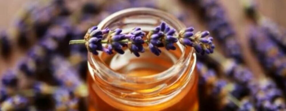 Med, Lavanda, Med od lavande