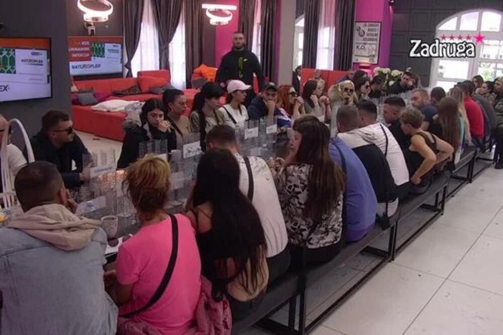 SASUO IM SVE U LICE! ĐEDOVIĆ OSUO DRVLJE I KAMENJE PO OVIM ZADRUGARIMA: Neće im biti dobro!