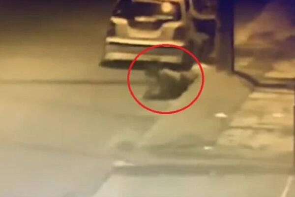 NOVINARKU POKUŠALI DA KIDNAPUJU, A ONDA SE DESIO NESVAKIDAŠNJI PREOKRET: Jeziv snimak sve zabeležio! (FOTO/VIDEO)