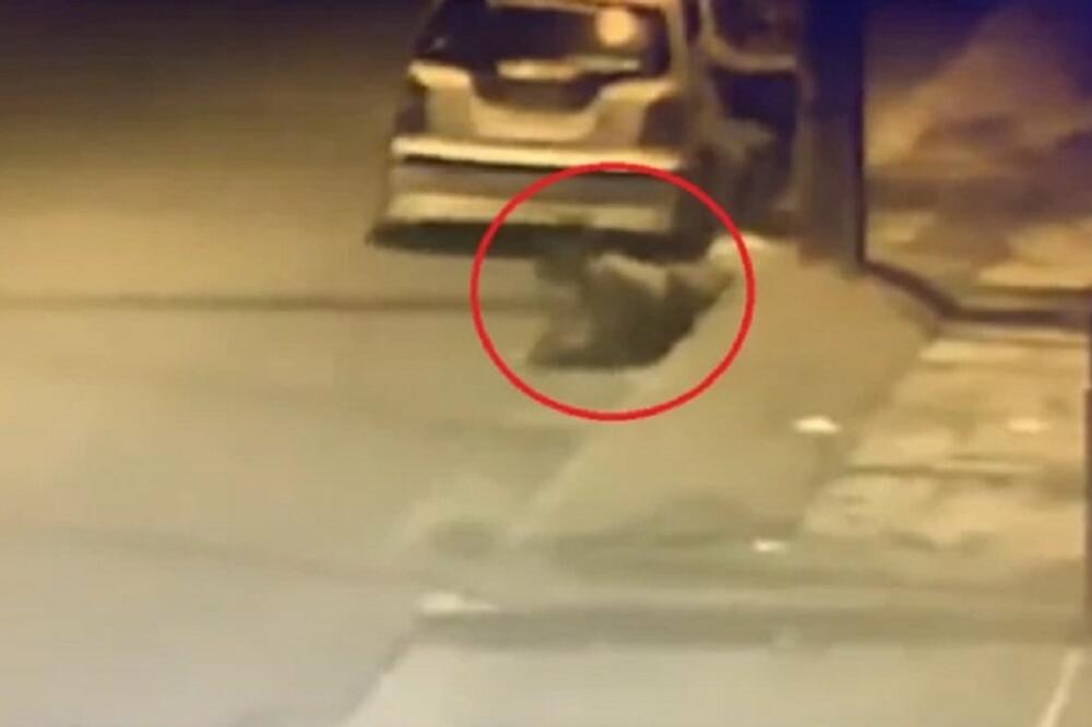 NOVINARKU POKUŠALI DA KIDNAPUJU, A ONDA SE DESIO NESVAKIDAŠNJI PREOKRET: Jeziv snimak sve zabeležio! (FOTO/VIDEO)