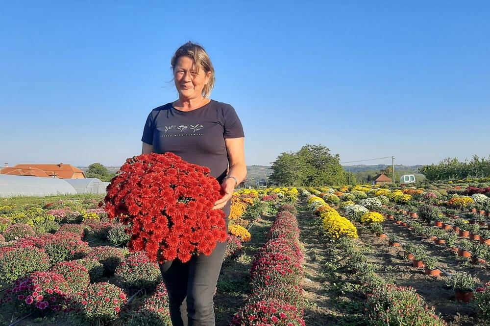 NARUČILA JE CVEĆE PREKO INTERNETA, A ONO ŠTO JE DOBILA SLEDILO JE U MESTU: Sve je uspela da snimi (FOTO)