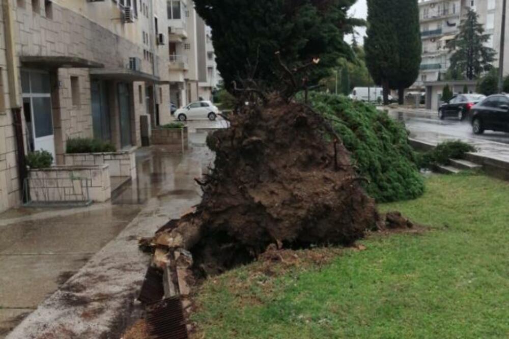 HOROR U HRVATSKOJ: Vetar čupao STABLA I KROVOVE, APOKALIPTIČNE SCENE! (FOTO)