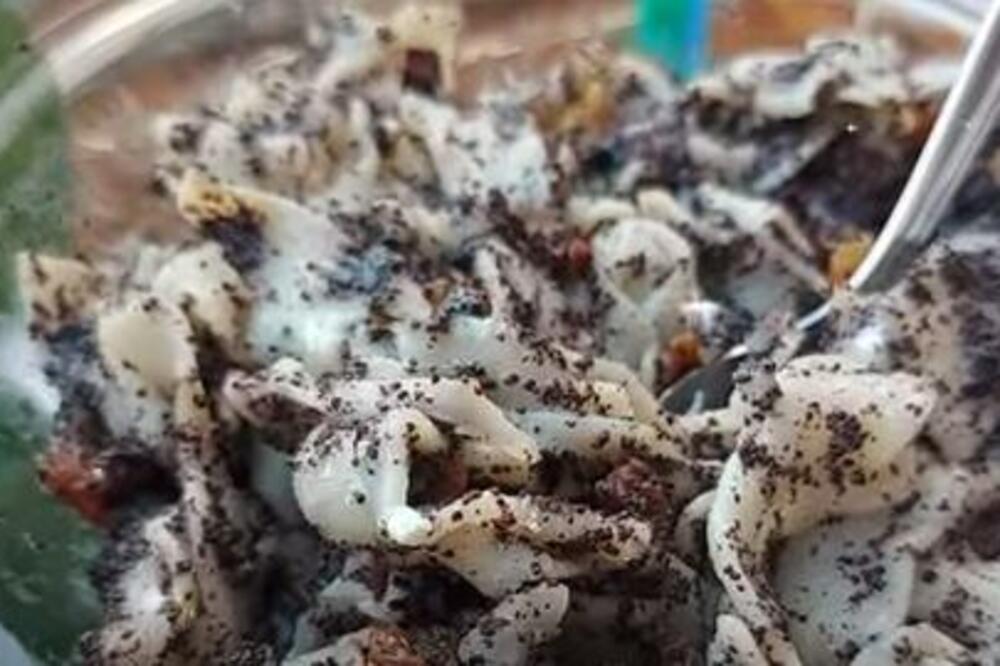 SA JEDNOM NAMIRNICOM DOBIĆETE DVA JELA: Brži recept dugo niste videli, a hrana je NIKAD UKUSNIJA