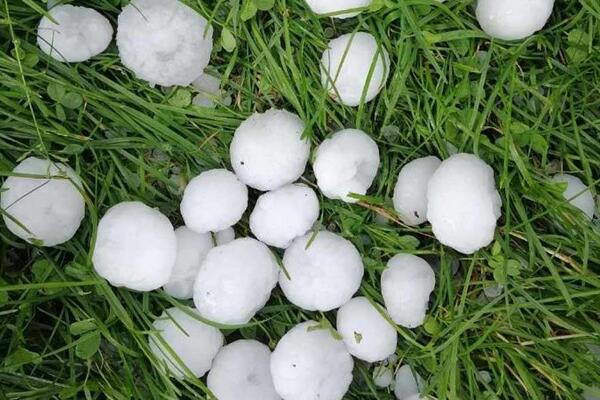 GRAD VELIČINE KLIKERA PROTUTNJAO KROZ SELO GOROBILJE: Pričinjena MATERIJALNA ŠTETA na USEVIMA (FOTO)