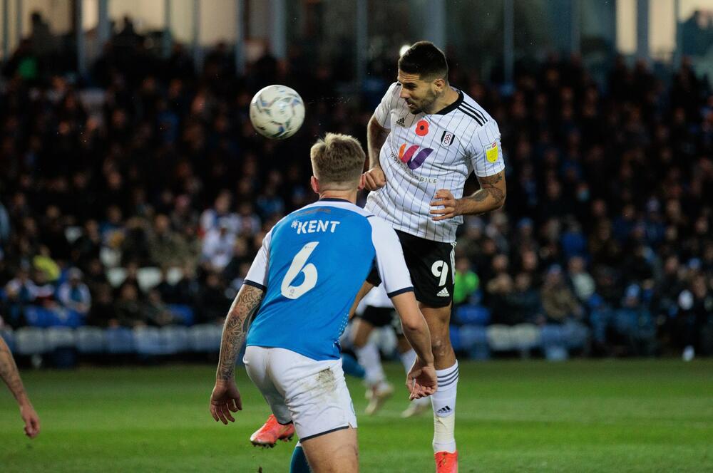 Aleksandar Mitrović