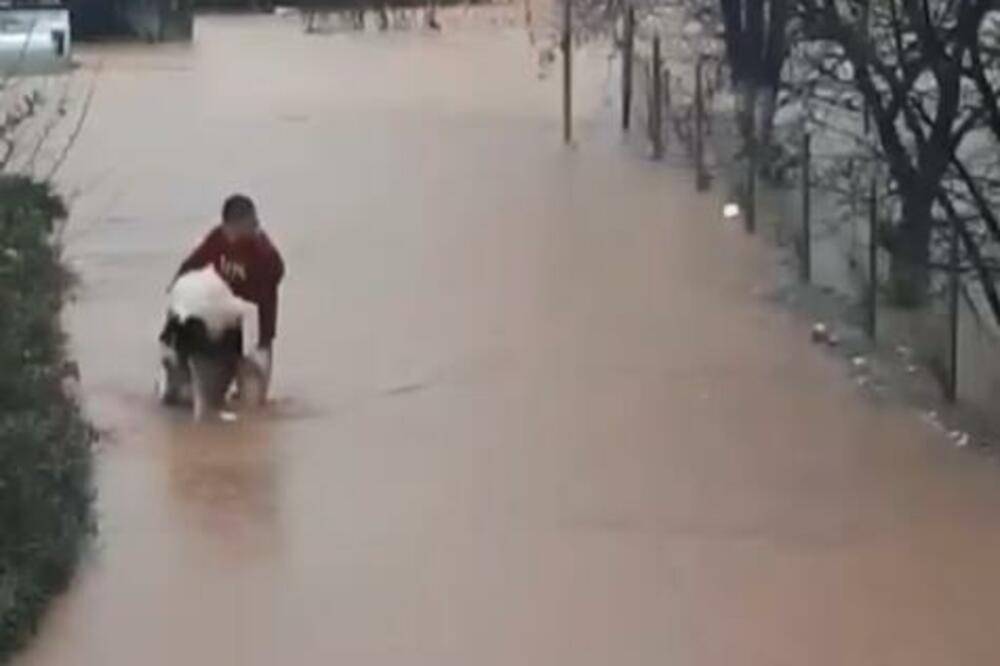 KAPA DOLE: Sarajlija spasao psa koji se zaglavio u živoj ogradi usred nabujale reke (VIDEO)
