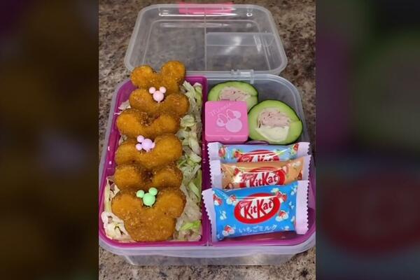 NIPOŠTO NE DRŽITE HRANU U KUTIJI OD SLADOLEDA: Ovo će vas uznemiriti!