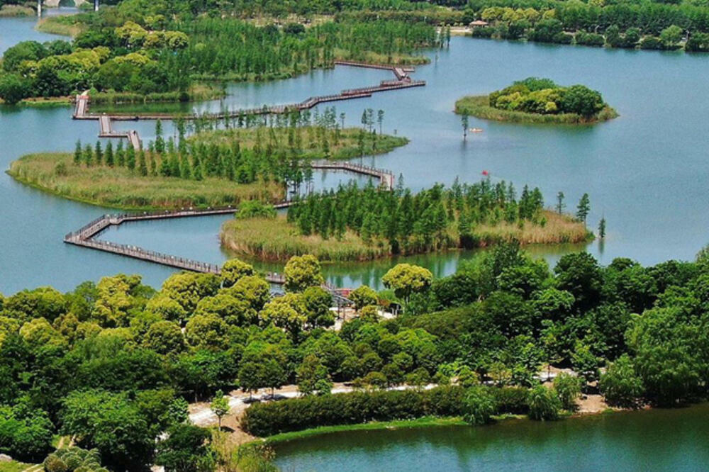 PRVI PUT DOMAĆINI: Konferencija COP14 posvećena zaštiti močvara biće održana dogodine u Vuhanu