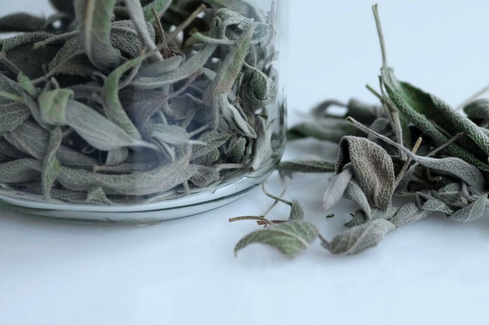 KAŽU DA SE NAKON NJEGA PROBUDITE KAO NOVI: Pogledajte šta OVA BILJKA radi ORGANIZMU ako se DODA U MLEKO