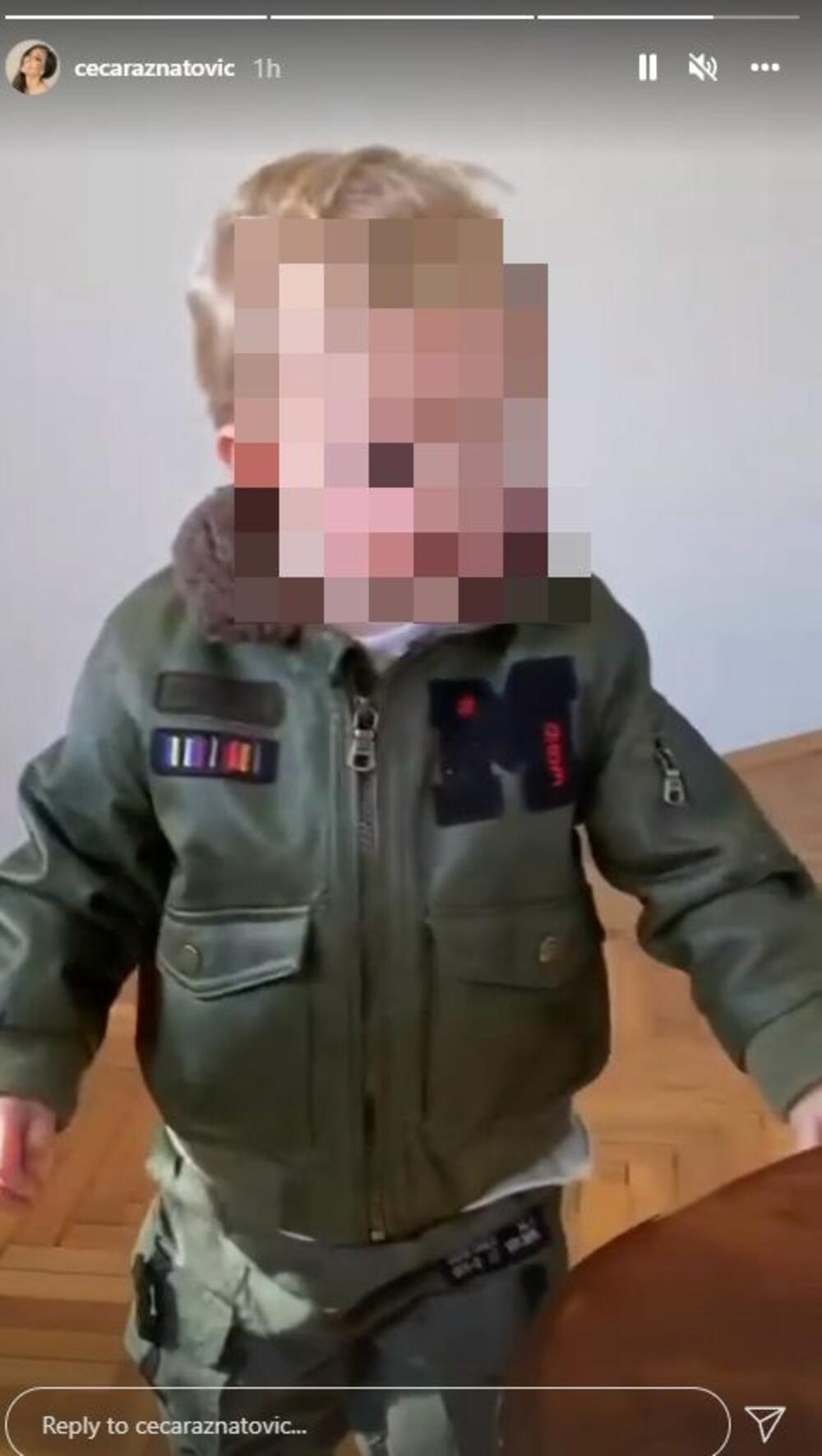 Svetlana Ceca Ražnatović