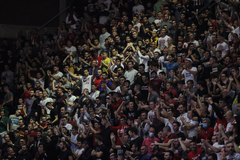 Navijači Crvene zvezde, Delije