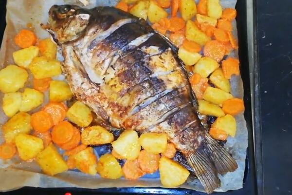 OVO JE NAJOPASNIJA RIBA KOJU DANAS MOŽETE DA POJEDETE! Ne igrajte se, jako je ŠTETNA, a Srbi je VOLE (FOTO)