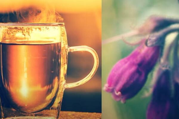 POMEŠAJTE OVU BILJKU SA MALO RAKIJE: Nećete verovati koliko je MOĆNA (FOTO)