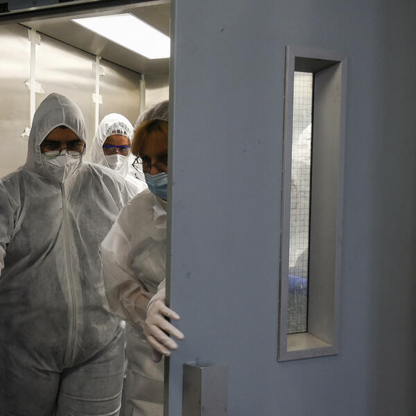 Još 26 osoba umrlo u BiH od korona virusa, 239 novozaraženih