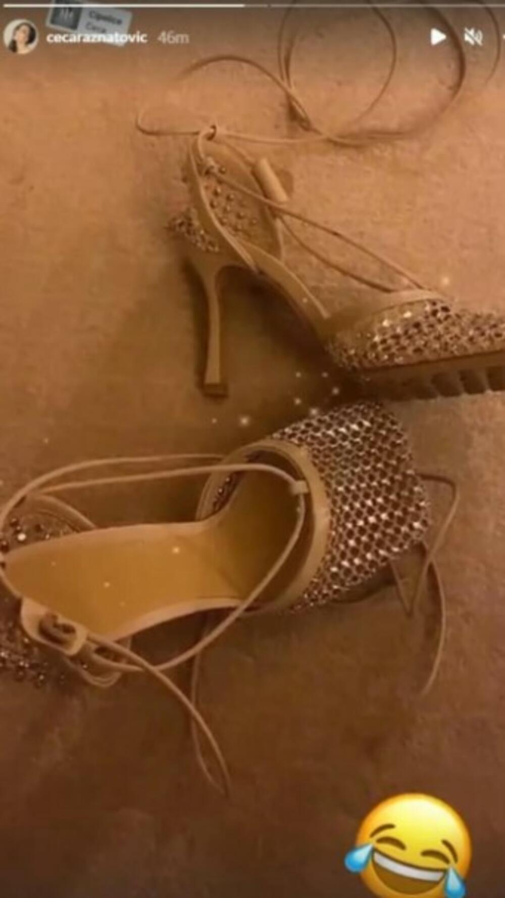 Svetlana Ceca Ražnatović