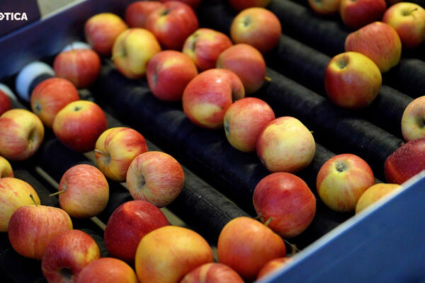 STIŽE SEZONA JABUKA, A S NJIMA I OPASNOST: U ovom slučaju su KOBNE PO ZDRAVLJE, SRBI PAZITE SE