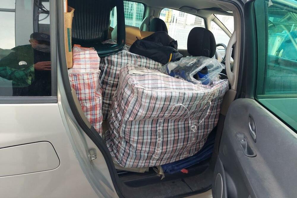 MRAVLJI ŠVERC! Carinici imali pune ruke posla, ova pojava nije BEZAZLENA! (FOTO)