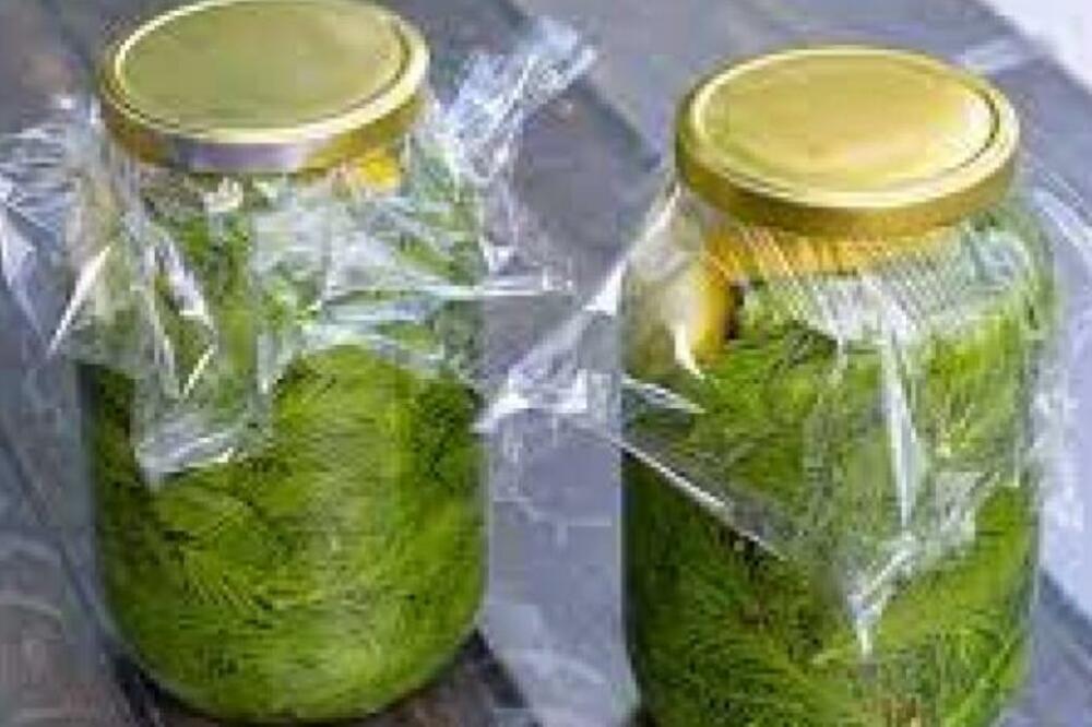 EVO U ČEMU SVE POMAŽU BOROVE ŠIŠARKE: Rusi ih koriste DANONOĆNO, a razlog je OGROMAN