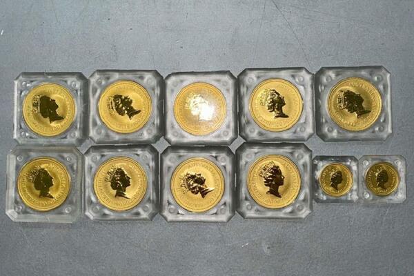 BEOGRAĐANKA KRIJUMČARILA ''KENGUR ZLATNIKE'': Na jednoj od njih nalazi se lik kraljice Elizabete II FOTO