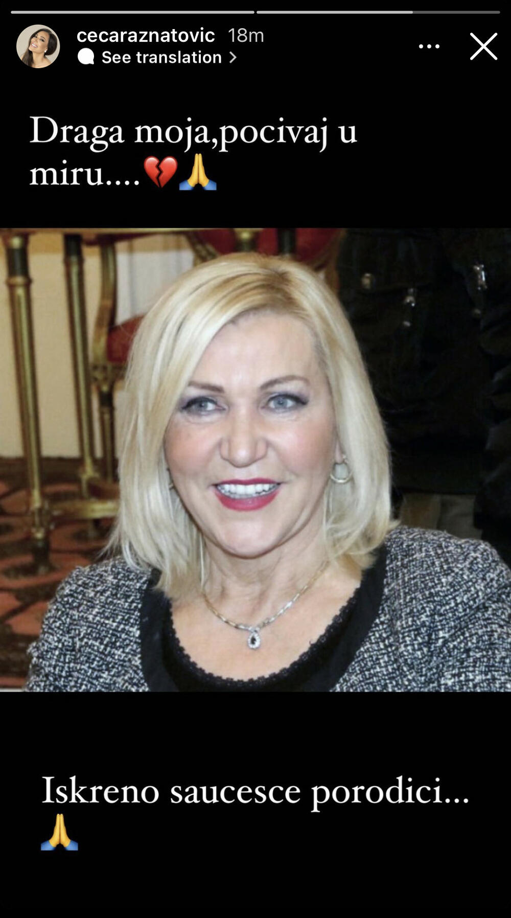 Ceca Ražnatović, Svetlana Ceca Ražnatović