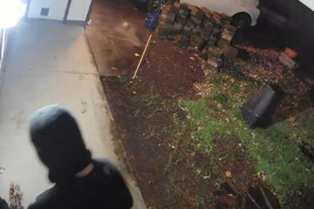 ČULA ČUDNE ZVUKOVE U TOKU NOĆI, I REŠILA DA POGLEDA SNIMAK: Ono što je videla, teško da će ikad ZABORAVITI (VIDEO)