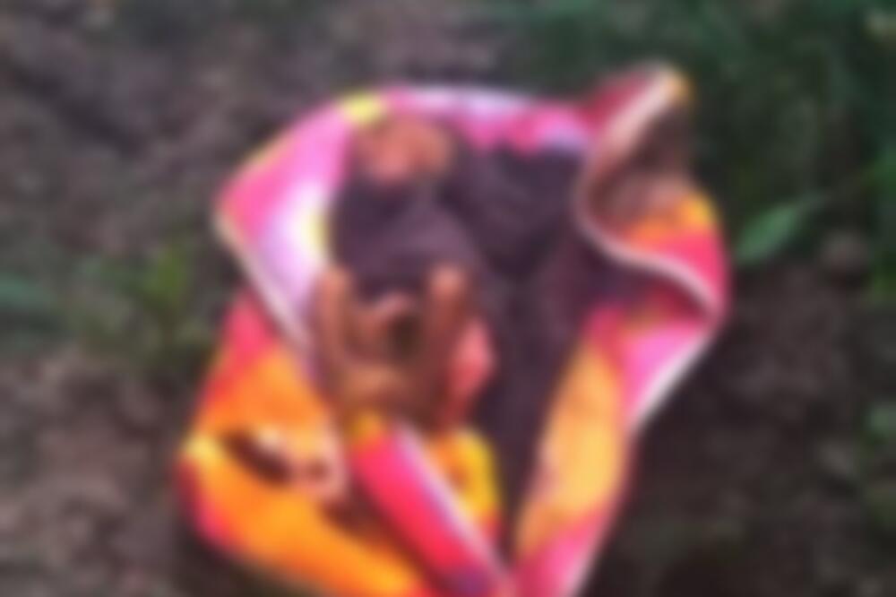 HOROR: Zakopali živo DETE, pa začuli krike iz zemlje, USLEDIO NEVEROVATAN OBRT (FOTO)