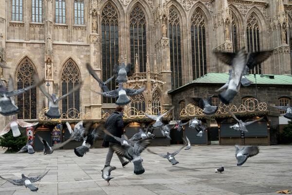 STRAŠNA VEST STIŽE IZ AUSTRIJE! Čeka ih HOROR!