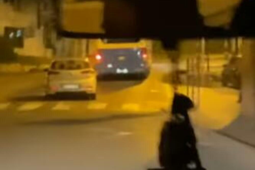 PIJANA ŽENA DIVLJA, SEKUNDA JE DELILA OD UŽASA! Igrala je RUSKI RULET na putu u Sremskoj Kamenici (VIDEO)