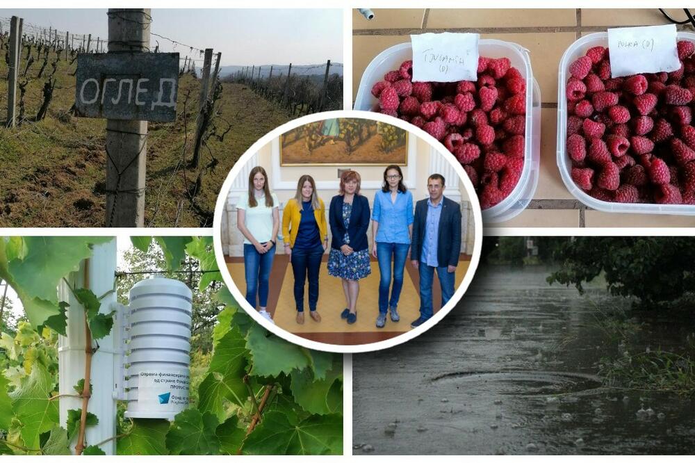 ISTRAŽIVANJE SRPSKIH NAUČNIKA MOGLO BI DA OLAKŠA ŽIVOT POLJOPRIVREDNICIMA! Pogledajte šta planiraju da URADE (FOTO)