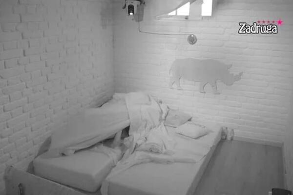 AKCIJA ZADRUGARA ZAPREPASTILA GLEDAOCE, NIKAD GLASNIJE I ŽEŠĆE: Nema SRAMOTE, kao da kamere ne postoje! (18+ VIDEO)