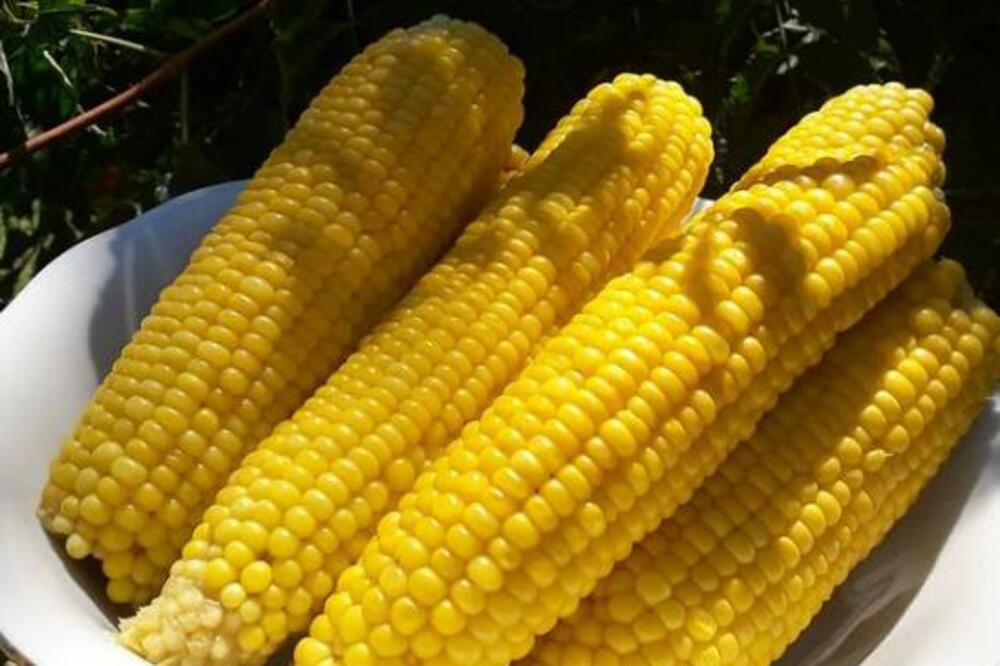 PALE CENE: Evo koliko koštaju kukuruz, pšenica i soja po kilogramu