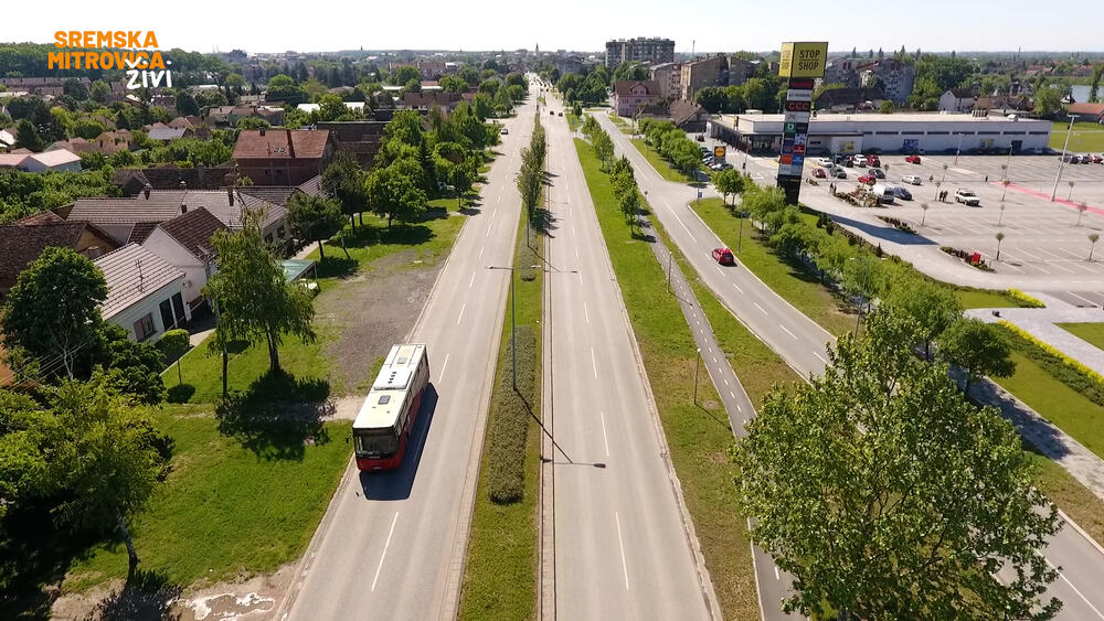 Svetlana Milovanović, Mitrovica