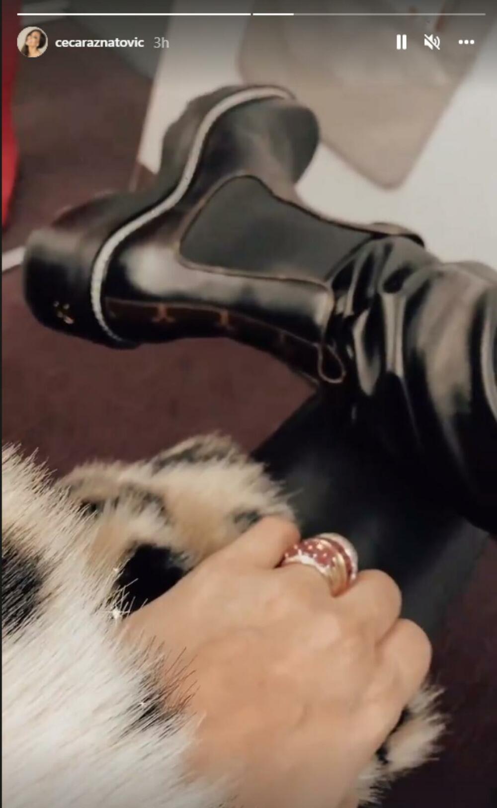 Svetlana Ceca Ražnatović