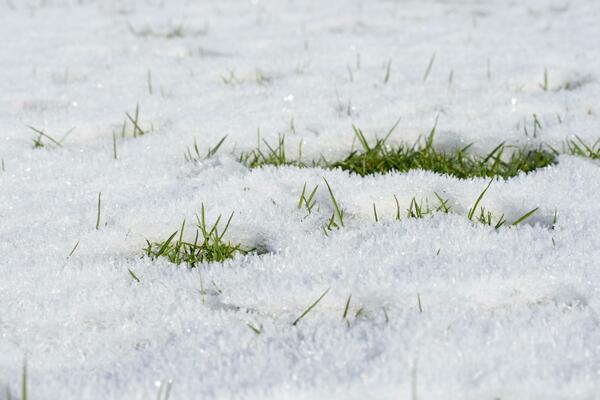 ZABELELO SE NA JOŠ JEDNOJ SRPSKOJ PLANINI: Prekrio je sneg, meštani odavno priželjkivali ovakav prizor (FOTO)