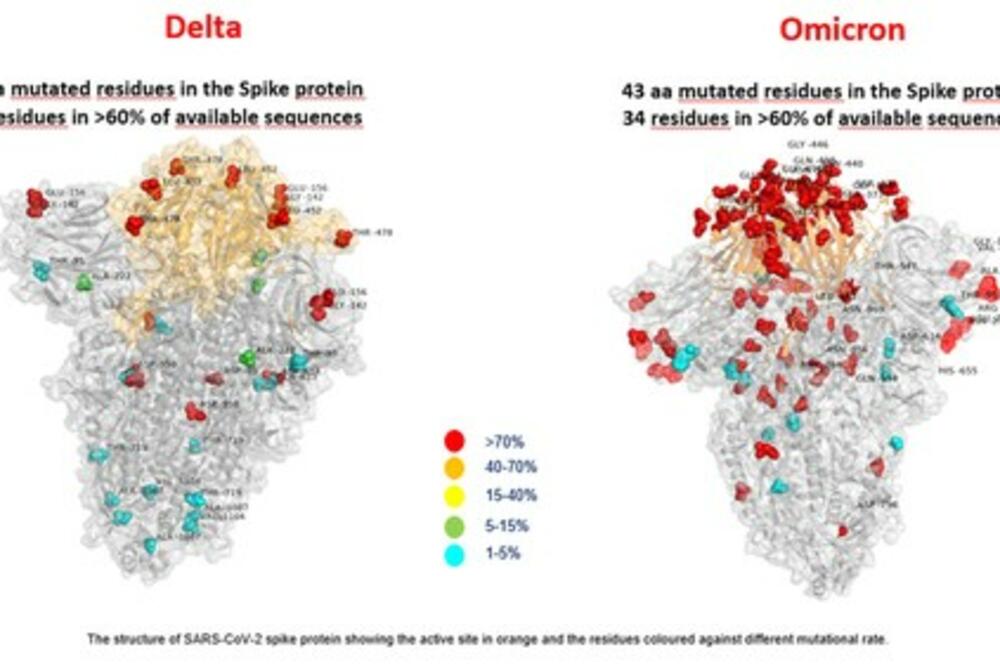 OBJAVLJENA 3D SLIKA OMIKRONA: Naučnici otkrili prve podatke o novom soju korona virusa (FOTO)