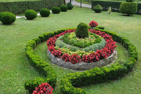 ĐURIĆI IMAJU DVORIŠTE KAO IZ BAJKE: Dobili su prestižnu nagradu, ovo se retko viđa (FOTO)