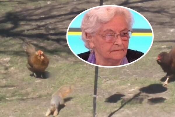 PILIĆE VAKCINIŠU PROTIV KORONE! Dr Gligić otkrila da li treba da se plašimo prenošenja virusa putem HRANE