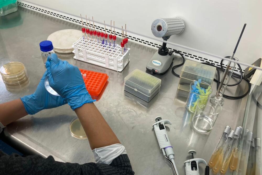 KUHINJSKI SUNĐER PRLJAVIJI OD KONTEJNERA: "Gradska čistoća" sprovela istraživanje, ovo je rezultat (FOTO)