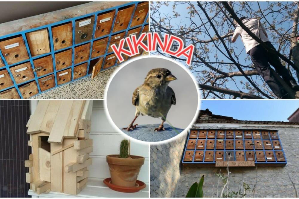 NAJNEOBIČNIJI HOTEL U SRBIJI U KOJI LJUDI NE MOGU DA UĐU: Porodica iz KIKINDE došla na GENIJALNU IDEJU! (FOTO)