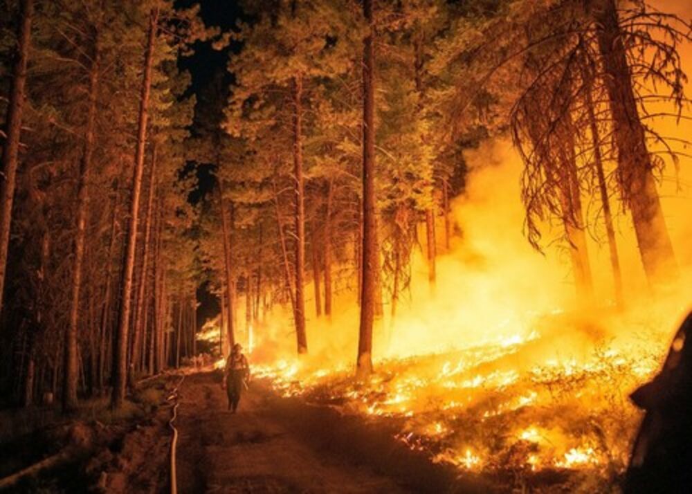 Šumski požar