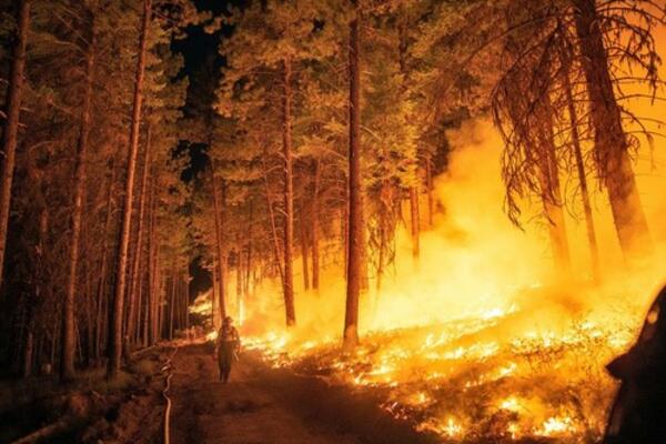 POGINULE 2 OSOBE U PADU HELIKOPTERA: Tragedija u PATAGONIJI