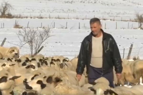 "VIŠE NIJE HLADNO KAO NEKADA, IMA DRVA, IMA SENA": Gorštaci sa Peštera spremni za ZIMU! (FOTO)